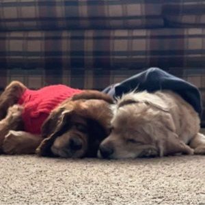 Meet your Posher, Christina